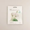 Premium Botanica Facial Mask - Purifying